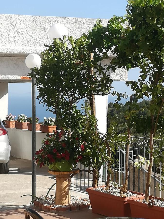 Bed and Breakfast Il Covo Delle Civette Виетри Экстерьер фото