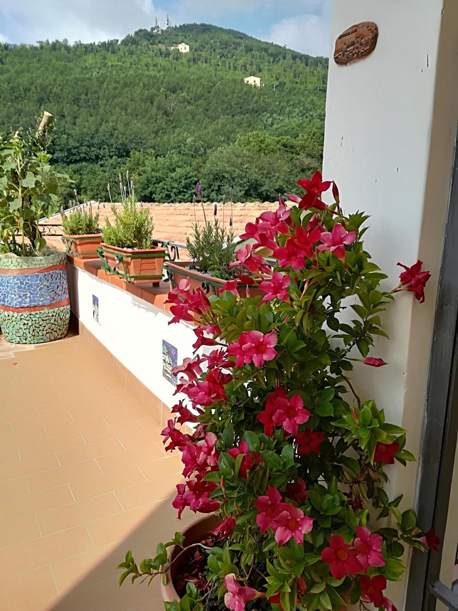 Bed and Breakfast Il Covo Delle Civette Виетри Экстерьер фото